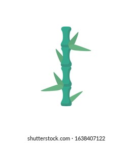 Isolated natural bamboo leaves design of Floral nature plant garden ornament botany decoration and life theme Vector illustration