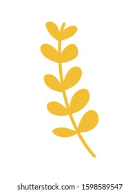 Isolated natural leaf design of Floral nature plant garden ornament botany decoration and life theme Vector illustration