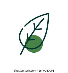 Leaf natural aislado medio línea estilo medio color diseño ícono de la naturaleza floral jardín adorno botánica decoración y tema de la vida Ilustración vectorial