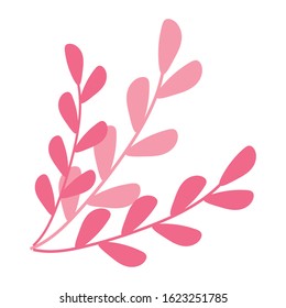 Isolated natural leaves design of Floral nature plant garden ornament botany decoration and life theme Vector illustration