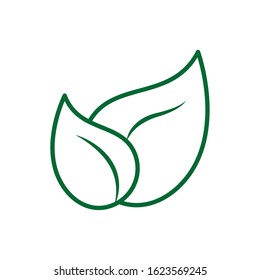 Isolated natural leaves design of Floral nature plant garden ornament botany decoration and life theme Vector illustration