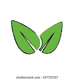 Isolated natural leaves Design Vector illustration, white background