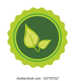 Isolated natural leaves Design Vector illustration, white background