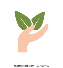 Isolated natural leaves Design Vector illustration, white background