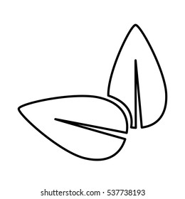 Isolated natural leaves Design Vector illustration, white background