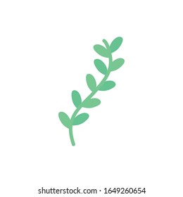 Isolated natural leaves flat style icon design of Floral nature plant garden ornament botany decoration and life theme Vector illustration