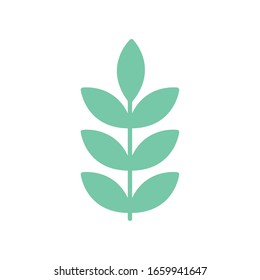 Isolated natural leaves flat style icon design of Floral nature plant garden ornament botany decoration and life theme Vector illustration