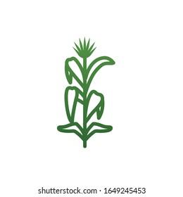Isolated natural leaves gradient style icon design of Floral nature plant garden ornament botany decoration and life theme Vector illustration