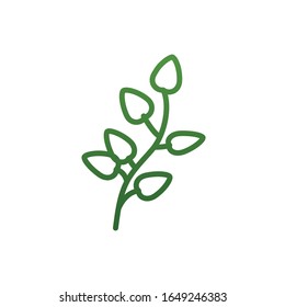 Isolated natural leaves gradient style icon design of Floral nature plant garden ornament botany decoration and life theme Vector illustration