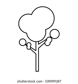 isolated natural tree icon vector illustration graphic design