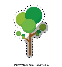 isolated natural tree icon vector illustration graphic design