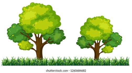 An isolated nature landscape illustration
