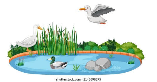 Isolated nature pond with duck and birds illustration