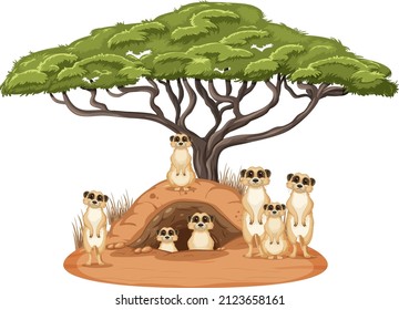 Isolated nature scene with meerkat family illustration