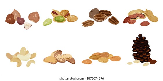 Isolated nuts collection. Cashew, almonds, hazelnuts, brazil nut, pecan, pine. Set of various seeds, healthy snacks. Organic vitamin sources cartoon clipart.