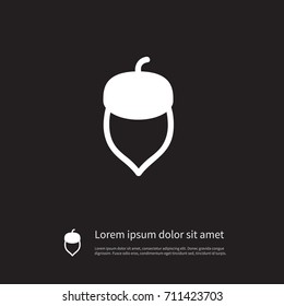 Isolated Nutwood Icon. Hazel Vector Element Can Be Used For Nut, Nutwood, Hazel Design Concept.
