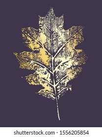 Isolated oak leaf, vector illustration. Golden leaf on black background. 