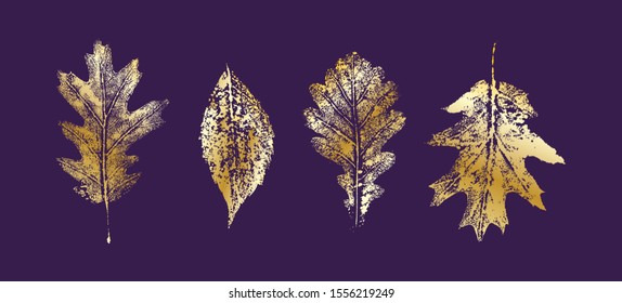 Isolated oak leaf, vector illustration. Golden leaf on black background. 