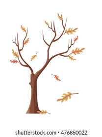 Isolated oak tree with falling leaves