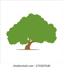 isolated oak tree on a white background