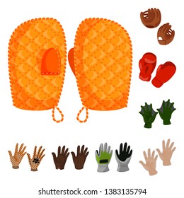 Isolated object of accessory and style symbol. Collection of accessory and distinctive vector icon for stock.