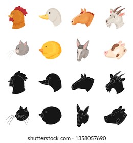 Isolated object of agriculture and breeding icon. Set of agriculture and organic  stock symbol for web.