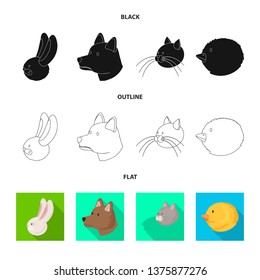 Isolated object of agriculture and breeding icon. Collection of agriculture and organic  stock symbol for web.