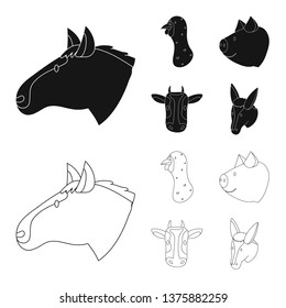 Isolated object of agriculture and breeding logo. Set of agriculture and organic  stock symbol for web.