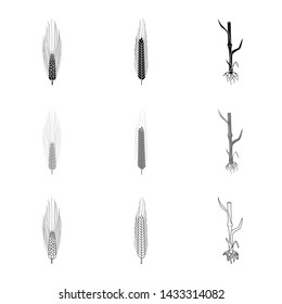 Isolated object of agriculture and farming icon. Collection of agriculture and plant vector icon for stock.