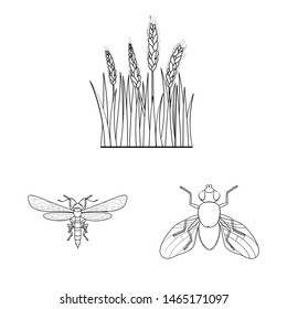 Isolated object of agriculture and farming icon. Collection of agriculture and plant stock symbol for web.