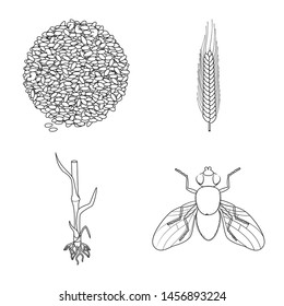 Isolated object of agriculture and farming sign. Set of agriculture and plant vector icon for stock.