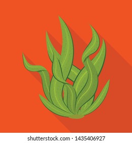 Isolated object of algae and vegan icon. Set of algae and organic vector icon for stock.