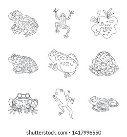 Isolated object of amphibian and animal icon. Set of amphibian and nature stock symbol for web.