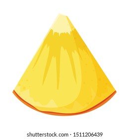 Isolated object of ananas and slice icon. Web element of ananas and vitamin vector icon for stock.