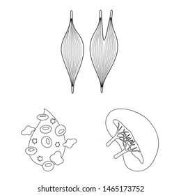 Isolated object of anatomy and organ logo. Set of anatomy and medical vector icon for stock.