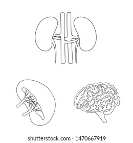 Isolated object of anatomy and organ logo. Set of anatomy and medical stock symbol for web.