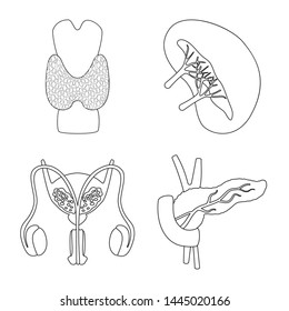 Isolated object of anatomy and organ sign. Set of anatomy and medical stock vector illustration. Isolated object of anatomy and organ sign. Set of anatomy and medical stock vector illustration.