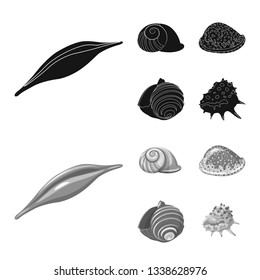 Isolated object of animal and decoration symbol. Set of animal and ocean stock symbol for web.