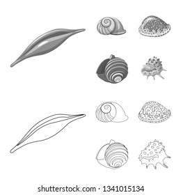 Isolated object of animal and decoration symbol. Set of animal and ocean stock vector illustration.
