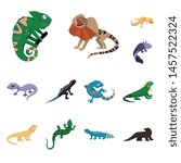 Isolated object of animal and reptile icon. Collection of animal and nature stock symbol for web.