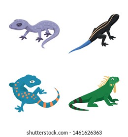 Isolated object of animal and reptile sign. Collection of animal and nature vector icon for stock.