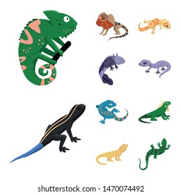 Isolated object of animal and reptile sign. Collection of animal and nature stock symbol for web.