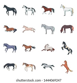 Isolated object of animal and stallion icon. Set of animal and farm stock symbol for web.