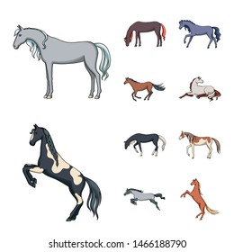 Isolated object of animal and stallion logo. Set of animal and farm stock symbol for web.