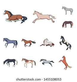 Isolated object of animal and stallion sign. Set of animal and farm vector icon for stock.