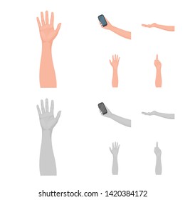 Isolated object of  and animated sign. Collection of  and brachioplasty stock vector illustration.