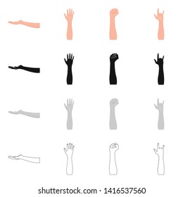 Isolated object of  and animated symbol. Set of  and brachioplasty vector icon for stock.