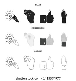 Isolated object of animated and thumb icon. Set of animated and gesture stock symbol for web.