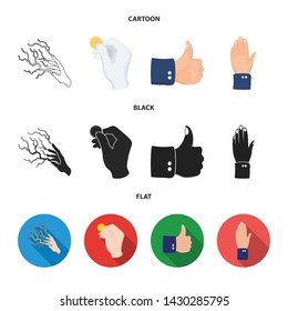 Isolated object of animated and thumb symbol. Collection of animated and gesture stock symbol for web.