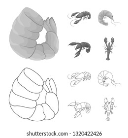 Isolated object of appetizer and ocean logo. Collection of appetizer and delicacy stock symbol for web.